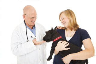 Doctor examining Dog Doctor examining Dog