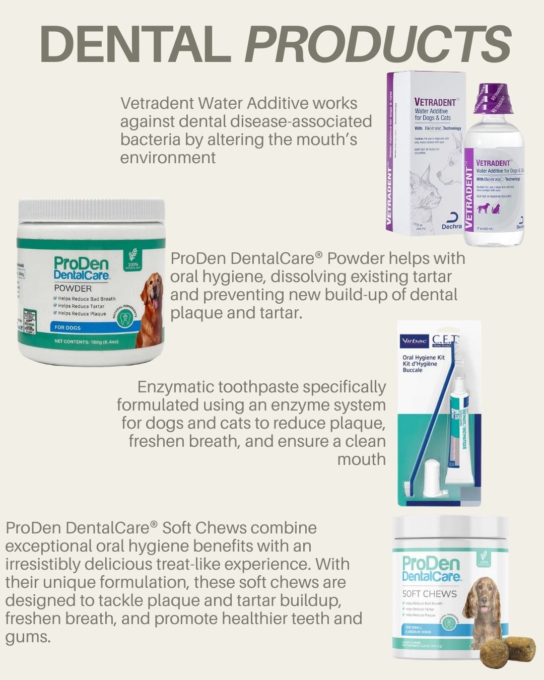 Dental Products Brochures