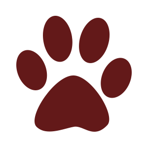 Paw Icon